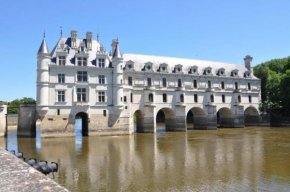 MHVACANCES 2 LOUENT PLUSIEURS MOBILHOMES DANS CAMPING 4 ETOILES PROCHE CHATEAUX et ZOO BEAUVAL